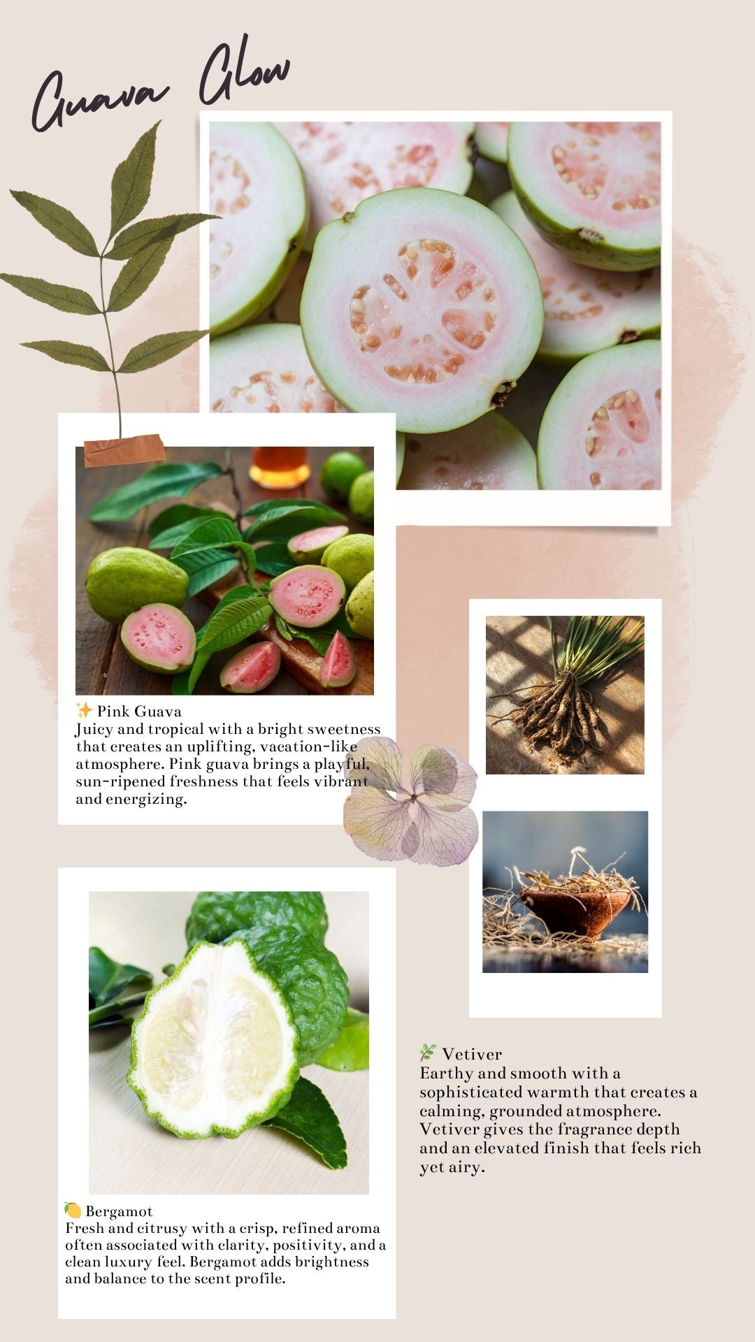 Guava Glow