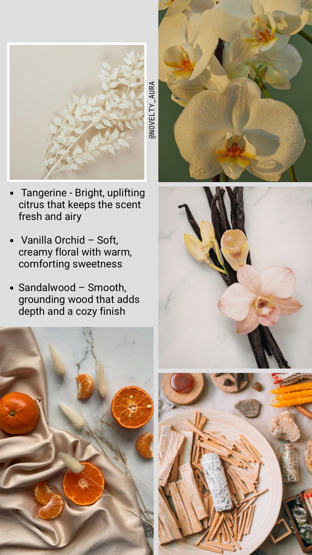 Moon Orchid - oftly, effortlessly, and with intention
